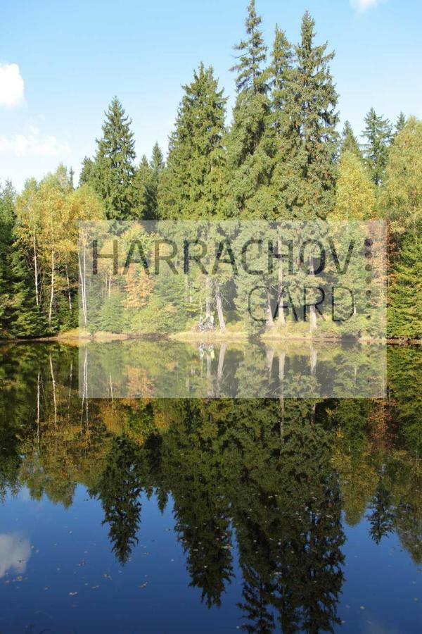Apartment Victoria Harrachov Exterior foto
